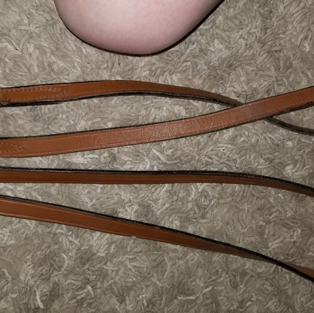 Reins - Picture 6 of 8